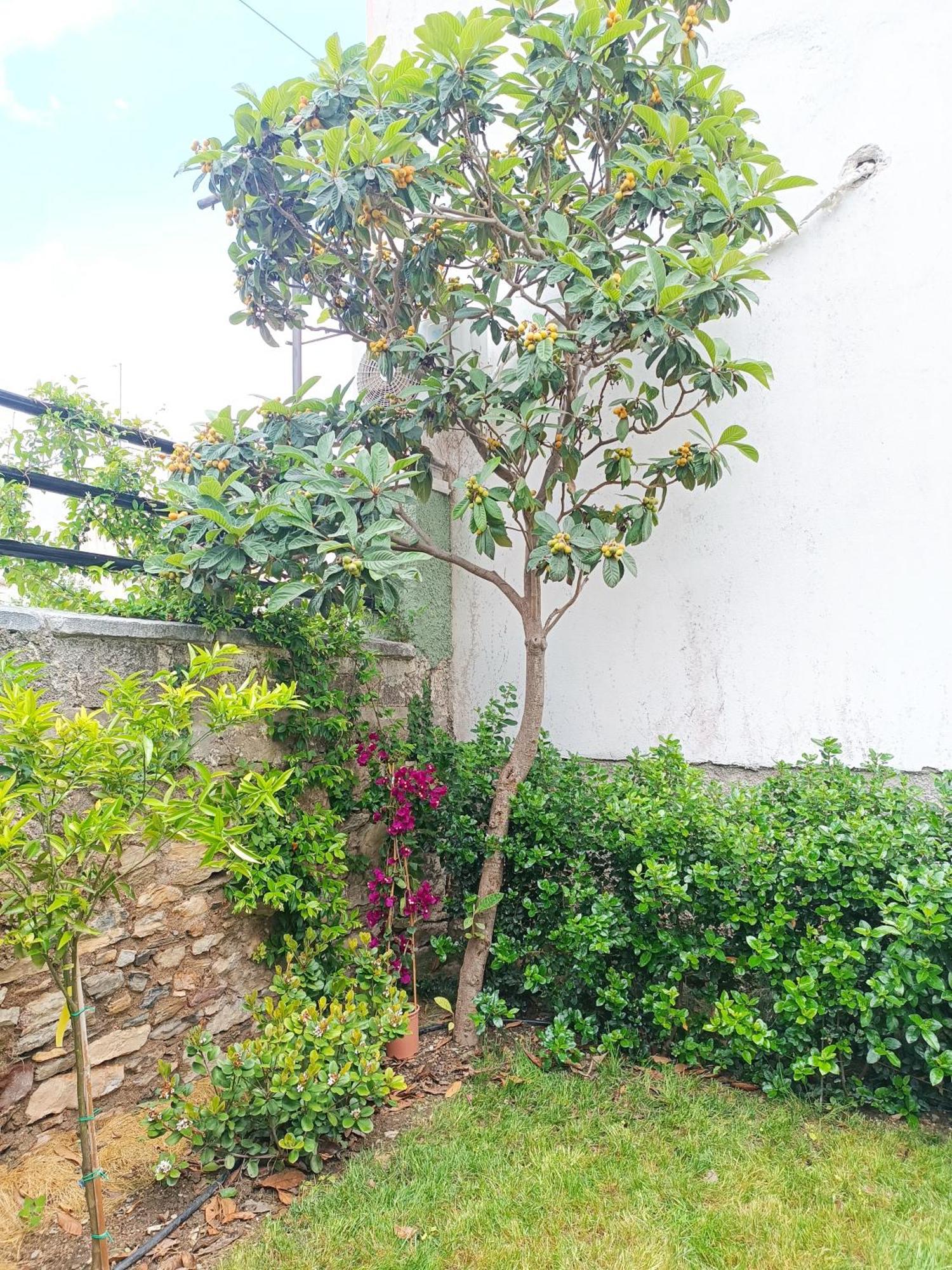 Villa Betty'S Garden House Néa Ankhíalos Zimmer foto