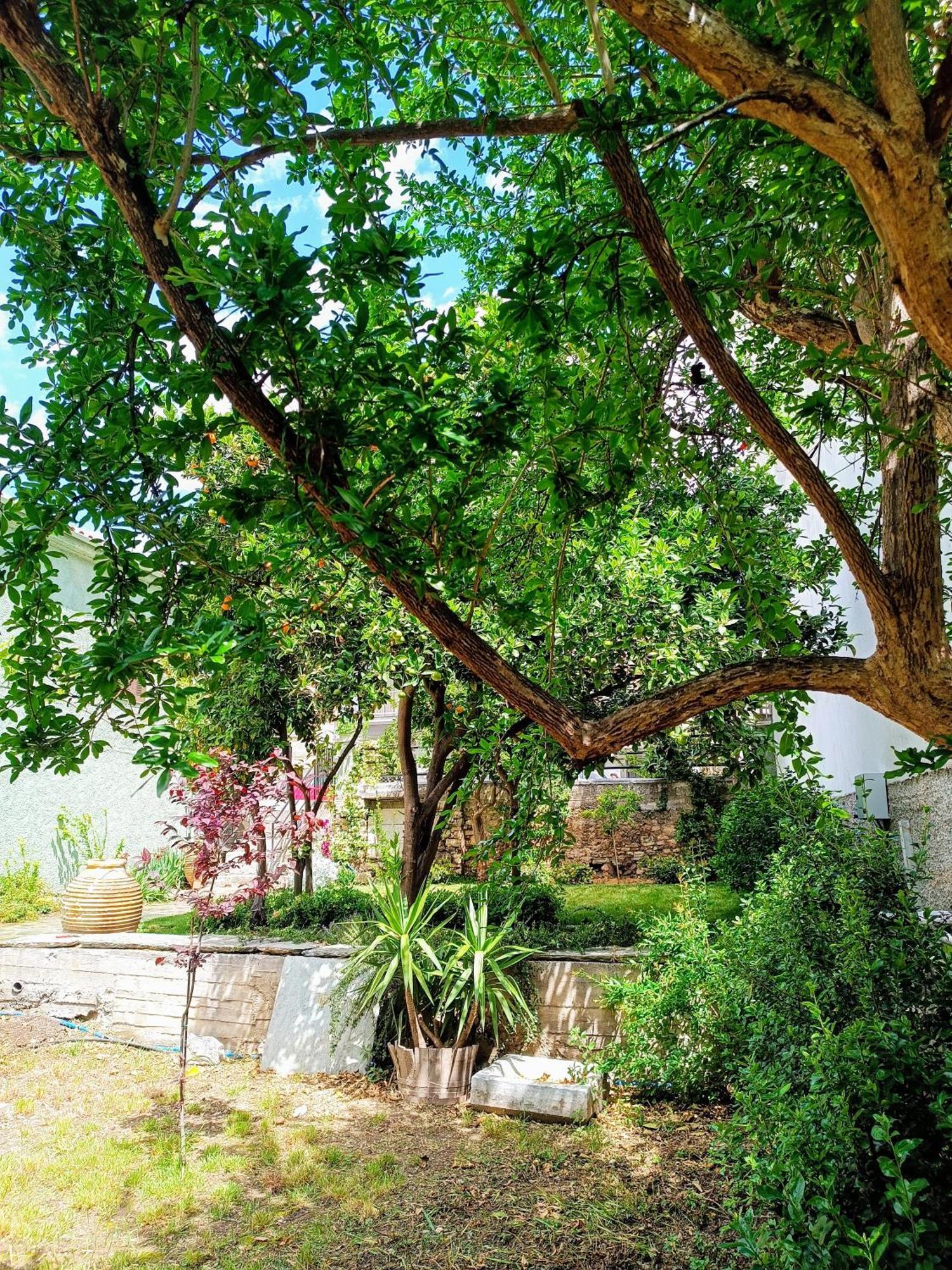 Villa Betty'S Garden House Néa Ankhíalos Zimmer foto